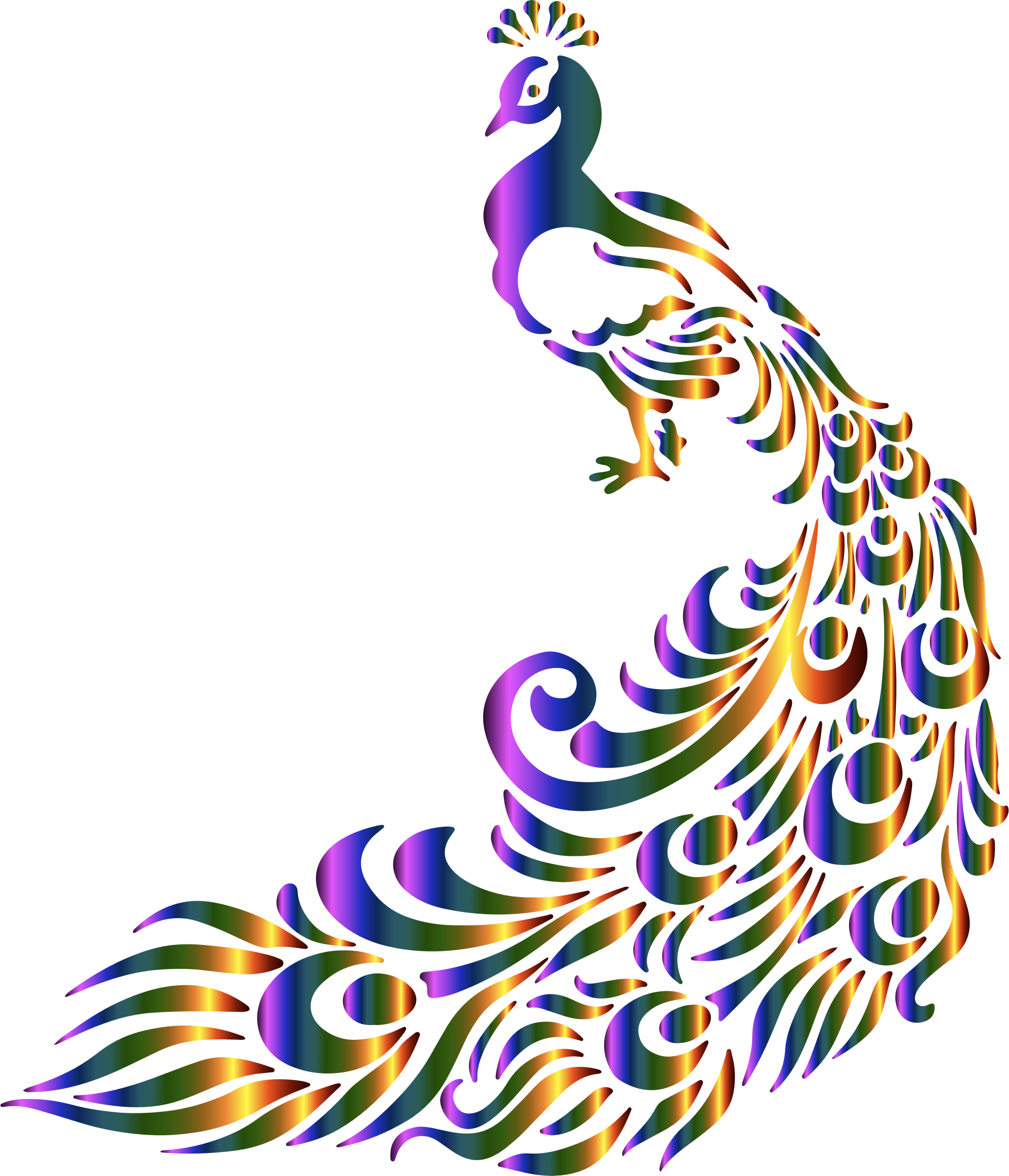 5188186-peacock-images.png